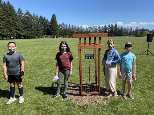 Four students stand beside Peace Tree in protective fence